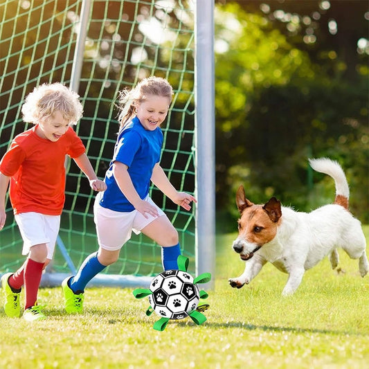 🐕Кучешка футболна играчка⚽