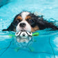 🐕Кучешка футболна играчка⚽