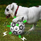 🐕Кучешка футболна играчка⚽